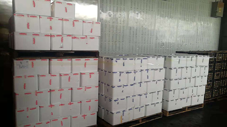 Z6·尊龙凯时「中国区」官方网站