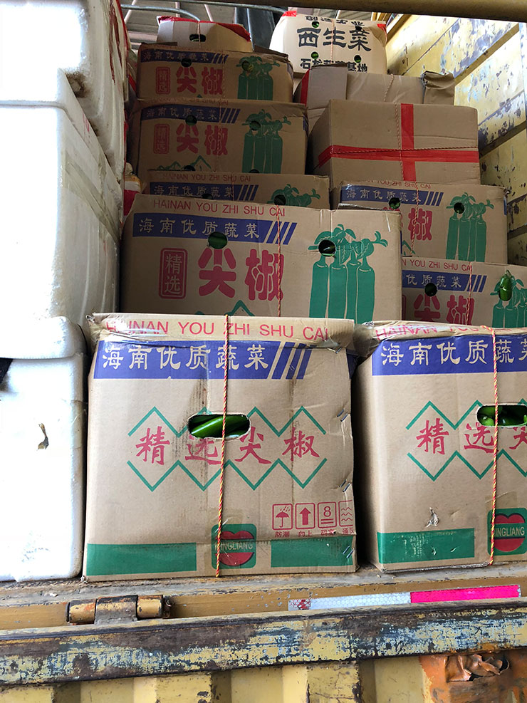 Z6·尊龙凯时「中国区」官方网站