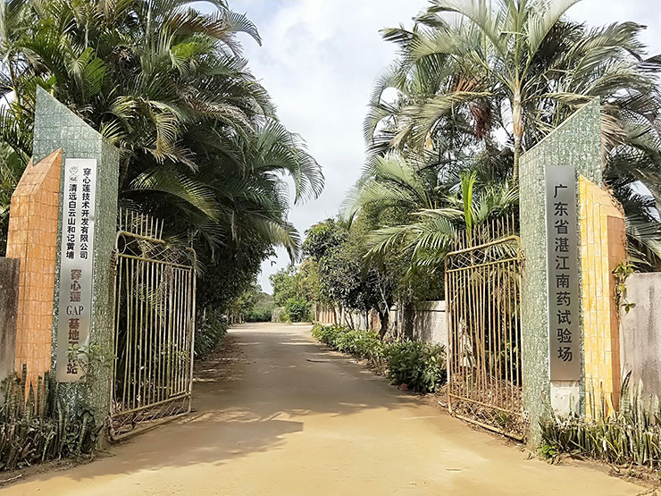 Z6·尊龙凯时「中国区」官方网站