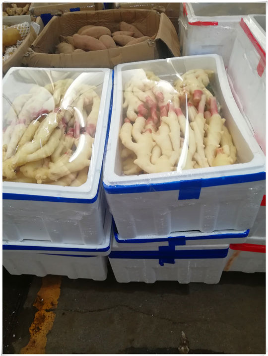 Z6·尊龙凯时「中国区」官方网站