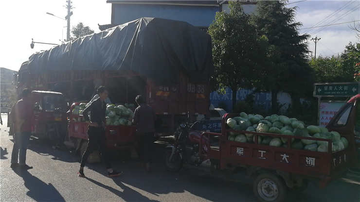 Z6·尊龙凯时「中国区」官方网站