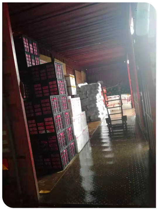 Z6·尊龙凯时「中国区」官方网站