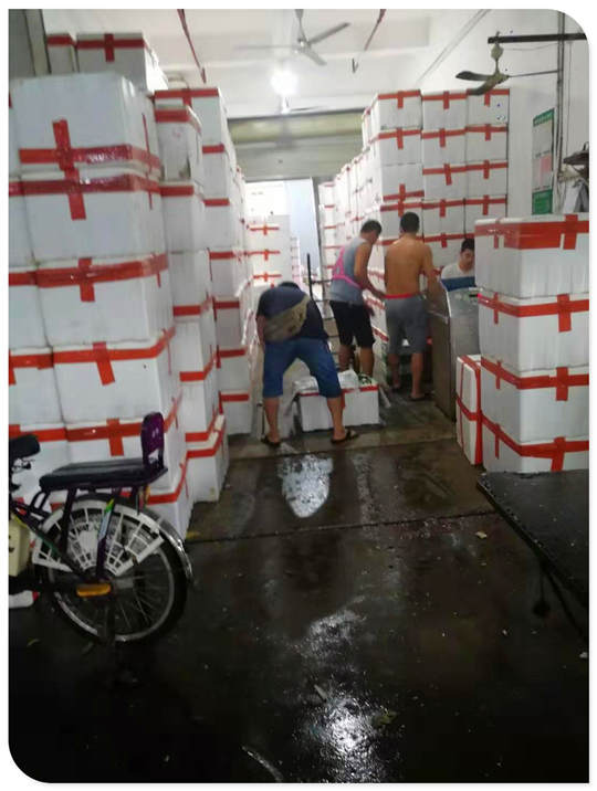 Z6·尊龙凯时「中国区」官方网站