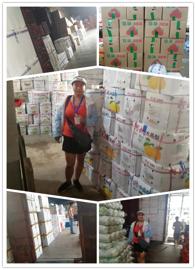 Z6·尊龙凯时「中国区」官方网站