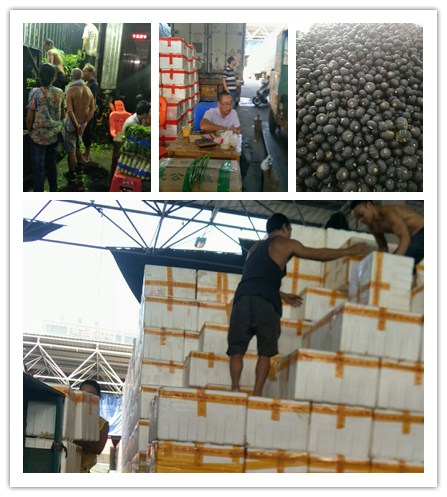 Z6·尊龙凯时「中国区」官方网站