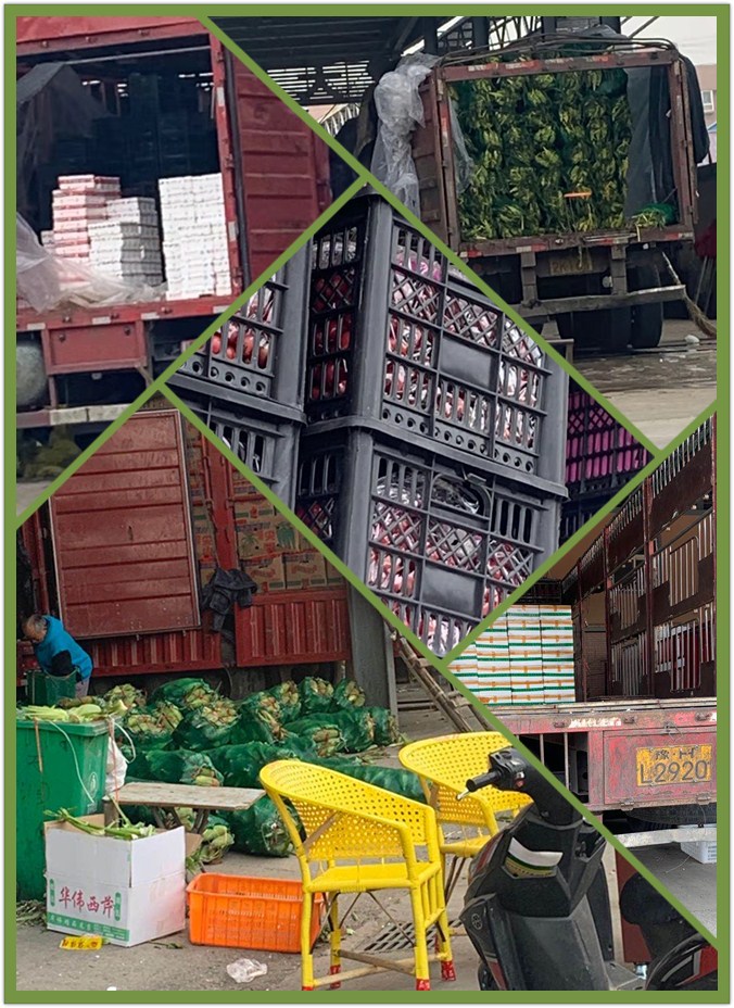 Z6·尊龙凯时「中国区」官方网站