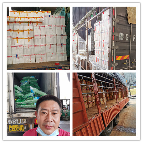 Z6·尊龙凯时「中国区」官方网站