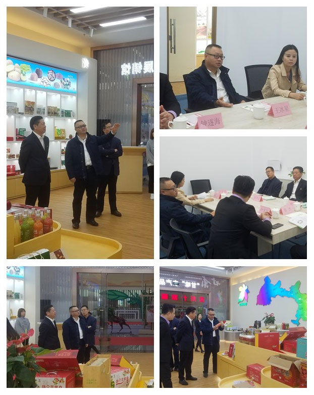 Z6·尊龙凯时「中国区」官方网站