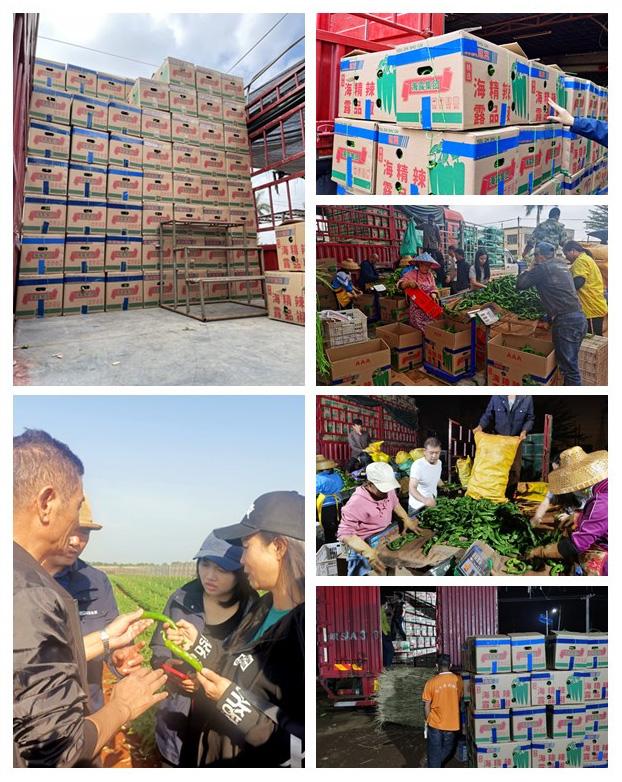 Z6·尊龙凯时「中国区」官方网站