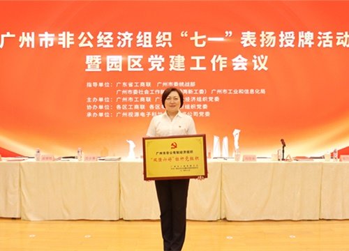 标杆引领，荣誉升级！集团党支部荣膺广州市非公有造经济组织“双强六好”标